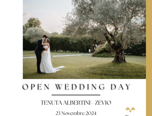 OPEN WEDDING DAY 2024